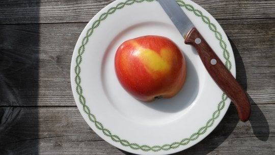 apfelsalat-cc0-pixabay-zorro4-260208 apfelsalat