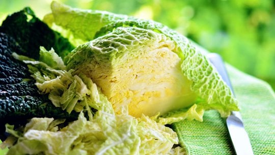 kartoffel-wirsing-pfanne-cc0-pixabay-congerdesign-260116 kartoffel wirsing pfanne