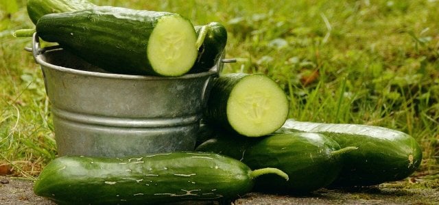 gurkenschale-nicht-wegwerfen-cc0-pixabay-congerdesign-220406 gurkenschale nicht wegwerfen