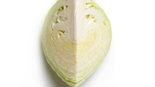 kohlrouladen-fuer-faule-leider-gar-kein-passendes-bild-gefunden-260311 kohlrouladen für faule