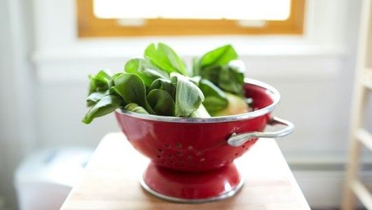 pak-choi-salat-unsplash-david-todd-mccarty-240216 Pak-choi-Salat