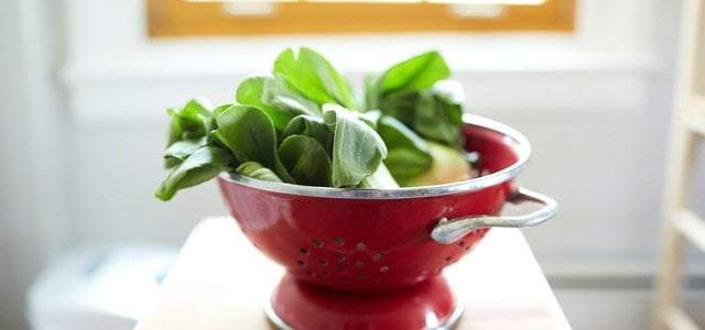 pak-choi-salat-unsplash-david-todd-mccarty-240216 Pak-choi-Salat