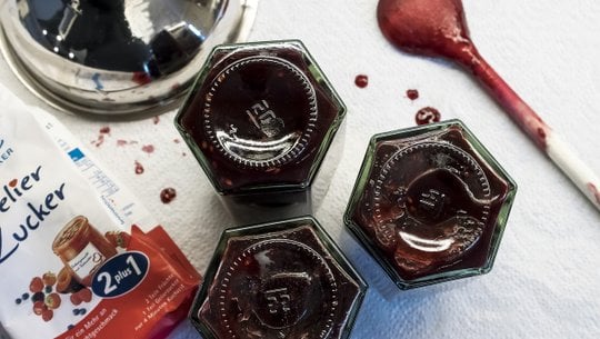 schlehengelee-cc0-pixabay-stux-211008 Schlehengelee