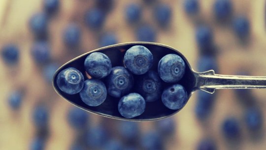 heidelbeer-kompott-cc0-pixabay-kranich17-230925 heidelbeer kompott