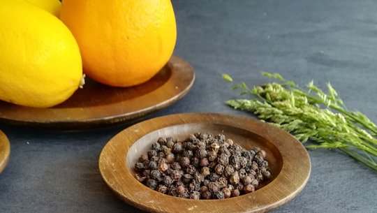 zitronenpfeffer-cc0-pixabay-tijanatix-240406 zitronenpfeffer