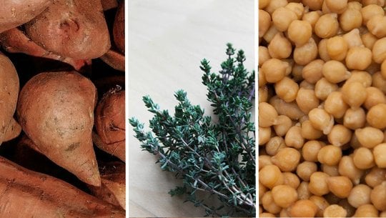 suesskartoffelauflauf-pixabay-cc0-nika_akin-jackmac34-wal_172619-200804 süßkartoffelauflauf