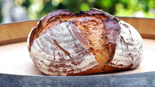 pilzbrot-cc0-pixabay-matthiasboeckel-251019 Pilzbrot