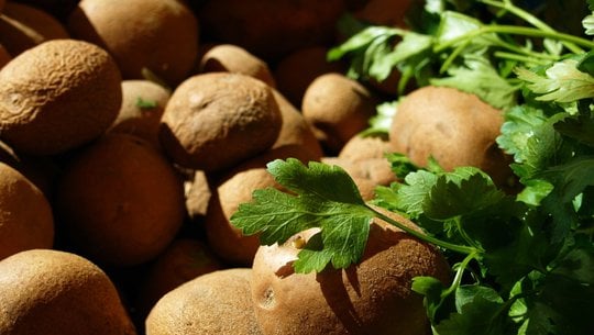 petersilienkartoffeln-cc0-pixabay-tiburi-251129 petersilienkartoffeln