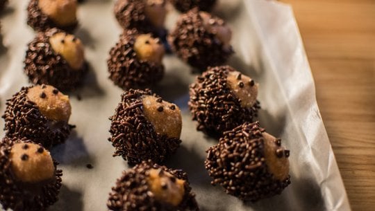 igel-kekse-jeffrey-stockadobecom-201222 Igel-Kekse