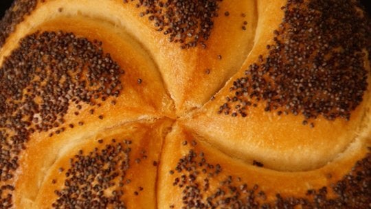 mohnbroetchen-cc0-pixabay-efraimstochter-210416 mohnbrötchen