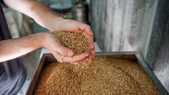 gerstensalat-cc0-pixabay-uirams-250908 Gerstensalat